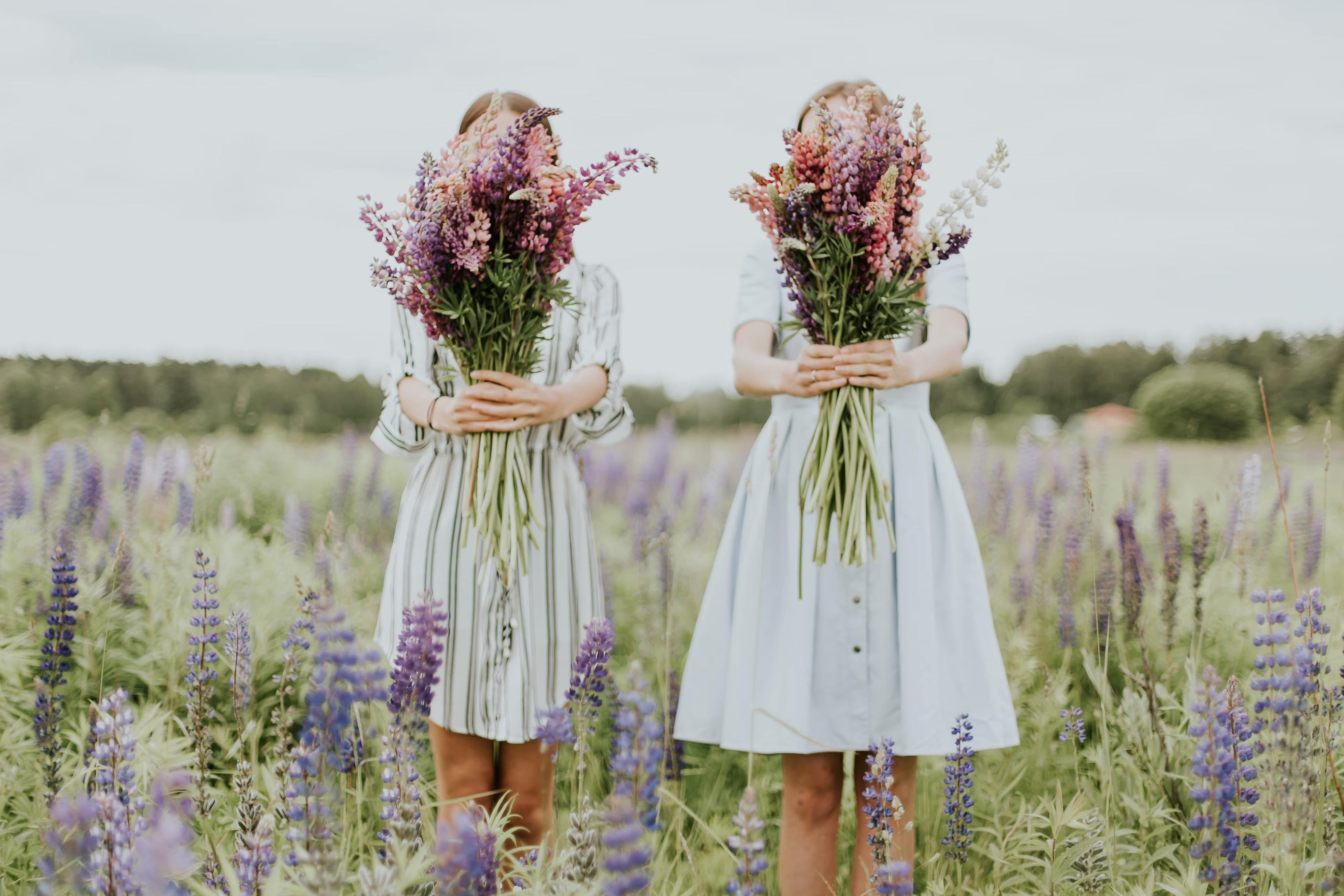 Two sisters in white dresses holding flower bouquets in a field of lupines
